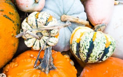 Il nostro blog nasce ad ottobre